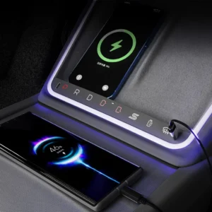 Tesla ambient button panel